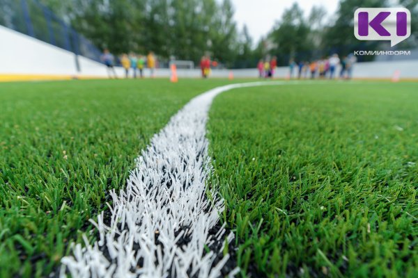 В Коми внедрили в работу сервис 