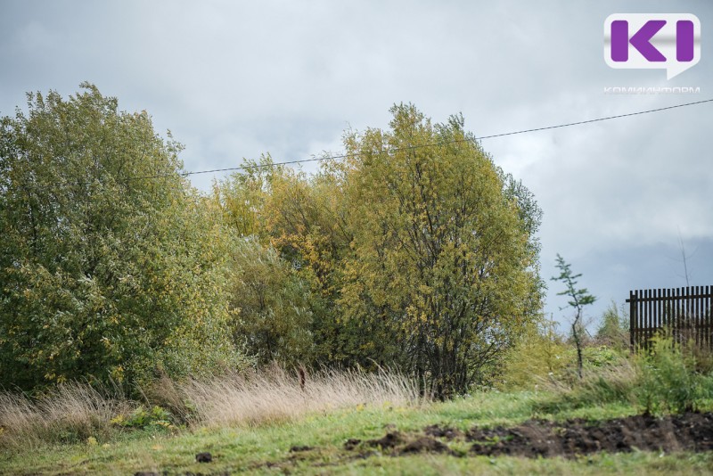 Погода в Коми 23 сентября: порывистый ветер, +13°С