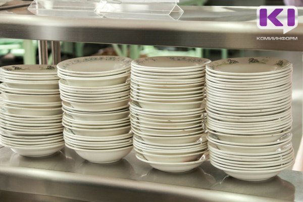 В детских образовательных учреждениях Усть-Кулома произошла вспышка сальмонеллеза