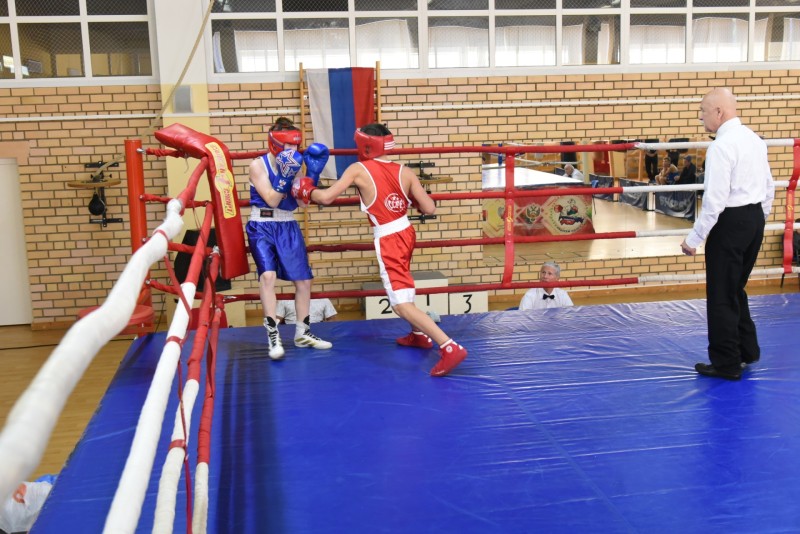 На Республиканских соревнованиях по боксу памяти А.Католикова соберутся около 90 спортсменов