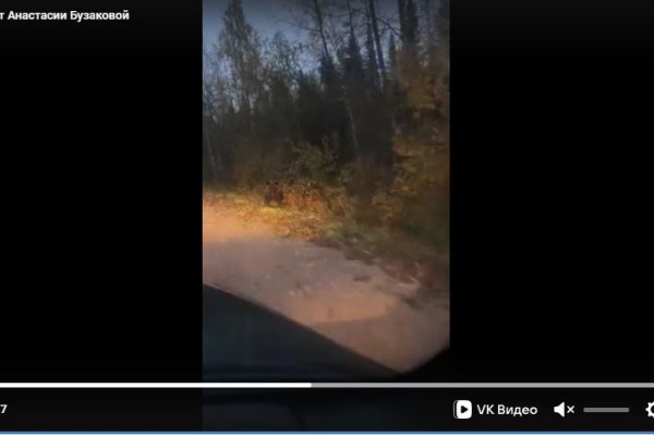 Косолапый вышел в район аэродрома в Кослане 