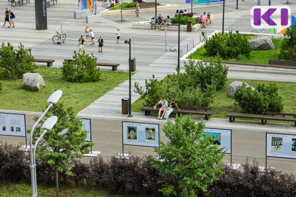 Максим Мартышин высказался против 