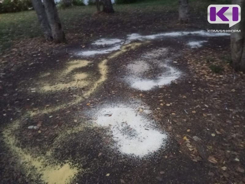 В Сыктывкаре вслед за голубями начали погибать воробьи 