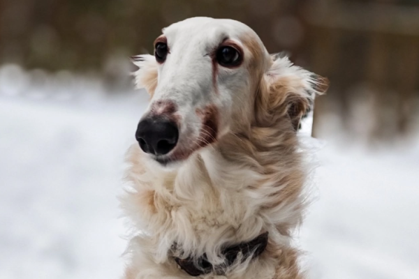 В этнопарке 