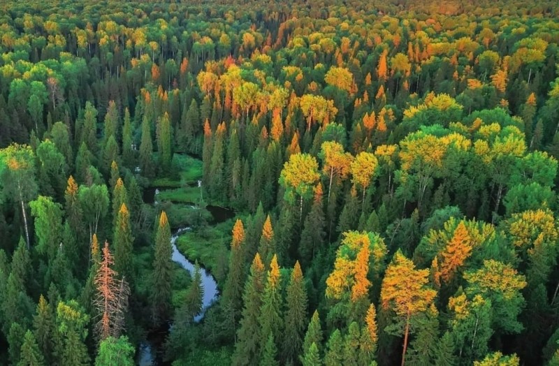 Национальный парк "Койгородский" приглашает волонтеров