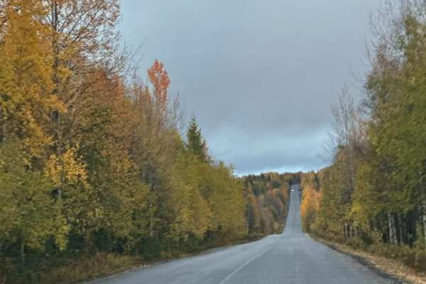 Республика становится ближе к Вуктылу: работы на участке дороги Керки–Дутово в самом разгаре 