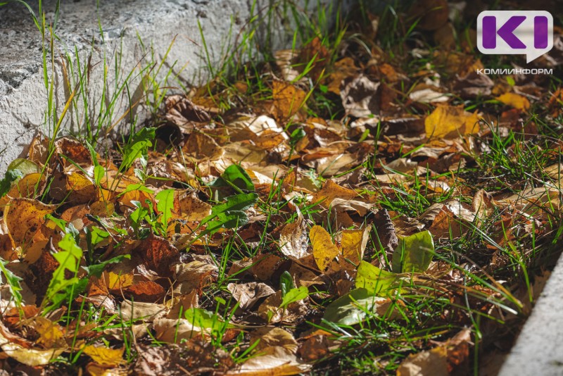 Погода в Коми 28 сентября: местами дождь, мокрый снег, +4...+9°С