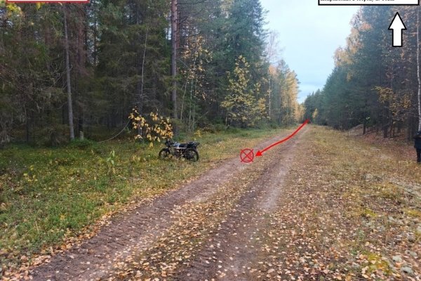 В Усть-Куломском районе на лесной дороге опрокинулся и получил травмы мотоциклист