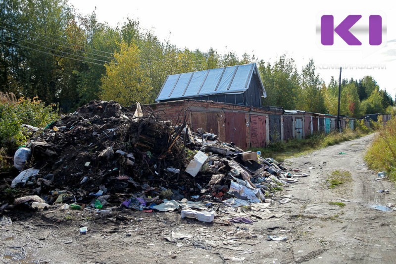 В Эжве уберут 17 несанкционированных свалок общей площадью 4,5 тыс. кв. метров