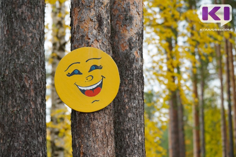 732 часа солнца: синоптики подвели итоги летнего сезона в Сыктывкаре