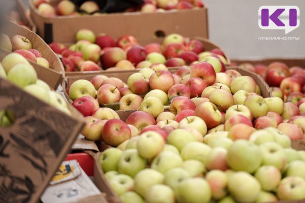 Предприниматель из Ухты заплатит штраф в размере 250 тысяч рублей за работу иностранца без документов