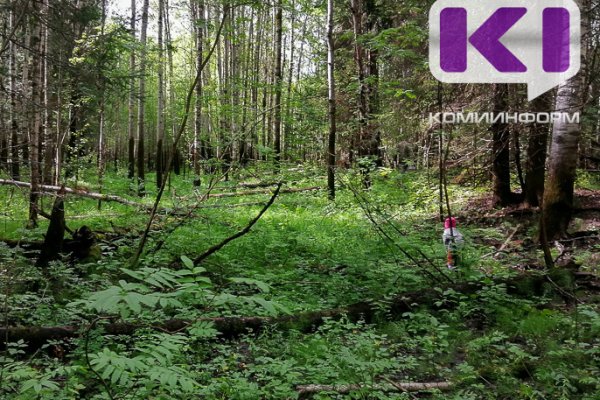 На сыктывкарской базе 