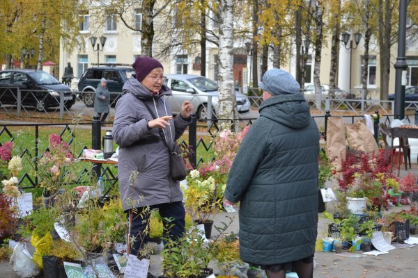 В Выльгорте развернулась ярмарка 