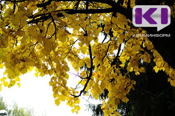 Погода в Коми 5 октября: небольшие осадки, на севере снег