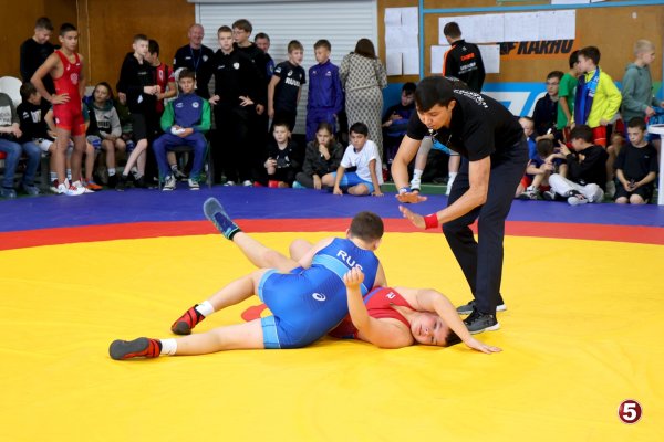 В Инте готовятся к турниру по вольной борьбе памяти Николая Лунина
