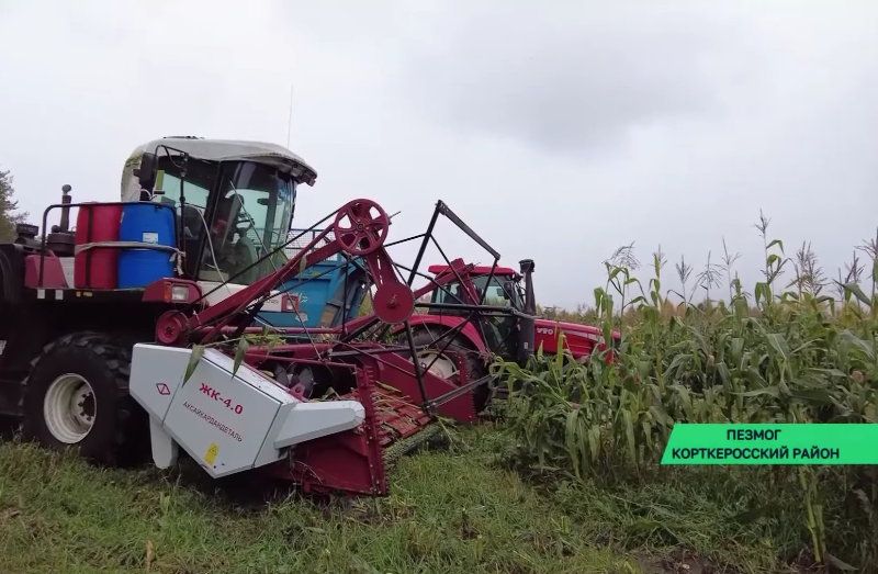 В Корткеросском районе завершается уборка кукурузы