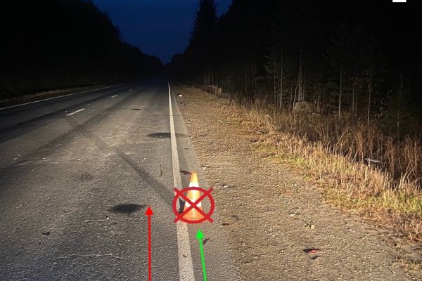 В Сыктывдинском районе водитель Citroen сбил велосипедиста и покинул место ДТП