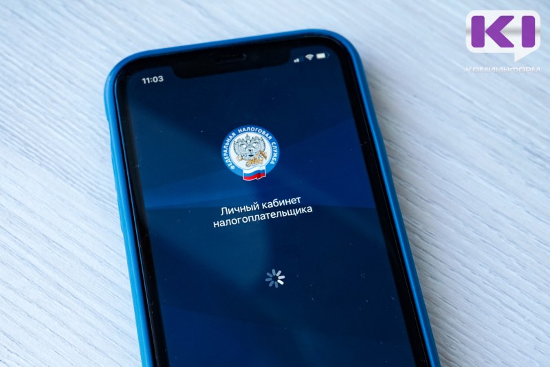 Под предлогом корректировки налоговой декларации семейная пара из Усинска перевела мошенникам более полумиллиона рублей