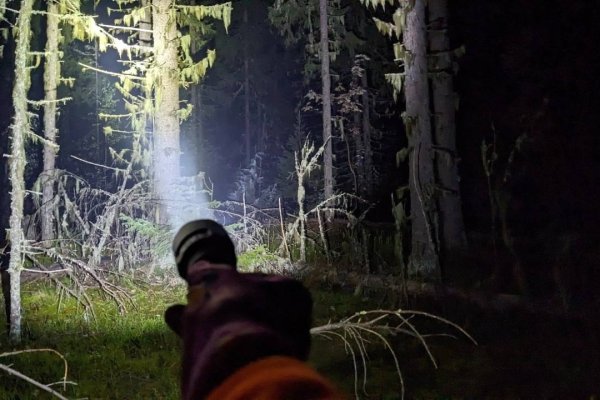 28 заявок, 17 найденных: поисковый отряд 