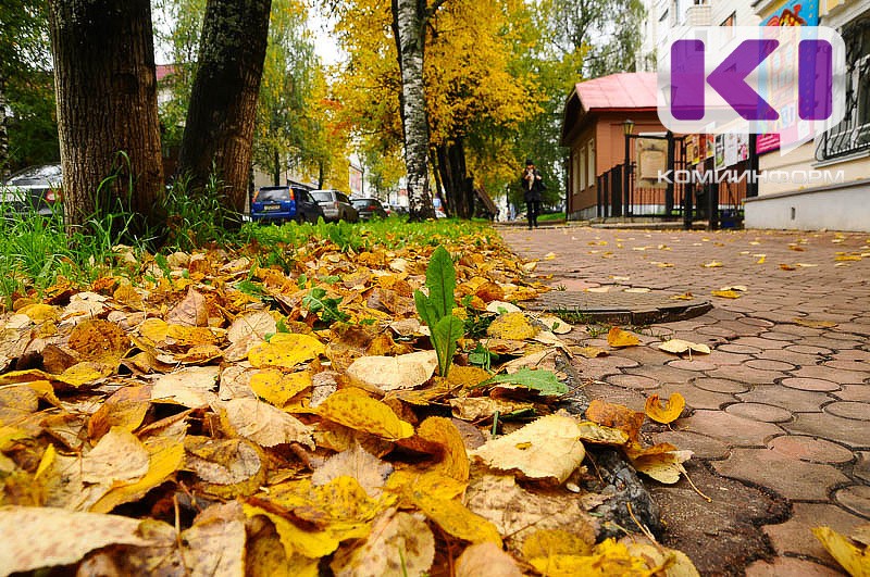 Погода в Коми 9 октября: днем +6...+11°С, в отдельных районах ночью и утром туман