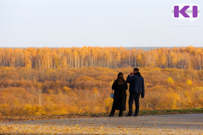 Погода в Коми 10 октября: южный ветер, +10°С