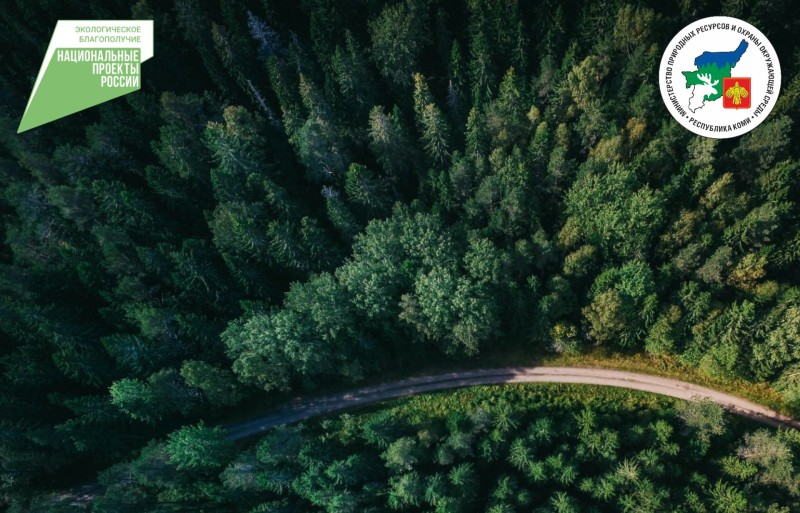 Пожароопасный сезон-2025 в Коми официально завершен