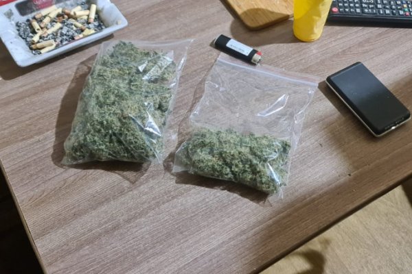 В Воркуте задержан подозреваемый в организации наркопритона и культивировании конопли