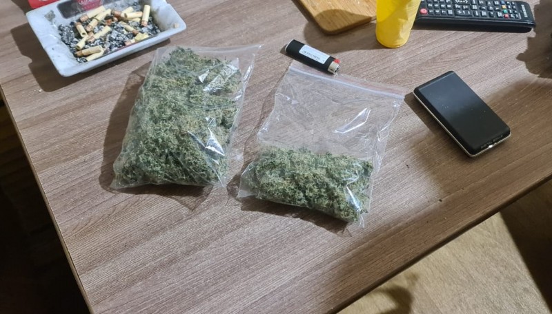 В Воркуте задержан подозреваемый в организации наркопритона и культивировании конопли