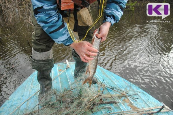 Рыболов из Инты оштрафован за ловлю 6 сетями в запрещенный период
