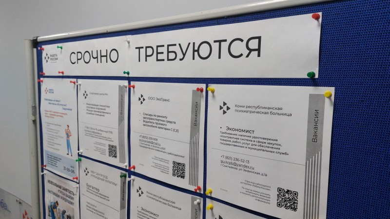 На рынке труда Сыктывкара безработица на минимальном уровне, заработные платы растут - Центр занятости населения