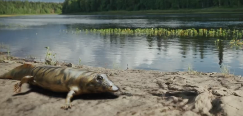 В России вышел научно-популярный сериал с участием известного палеонтолога из Коми
