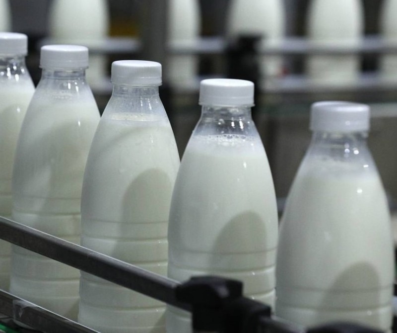 Производство молока и мяса в Коми показывает уверенный рост