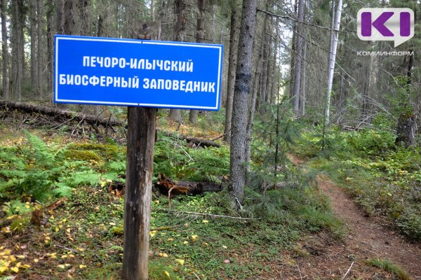 Минприроды России ждет новые маршруты от Коми на плато Маньпупунер для согласования 