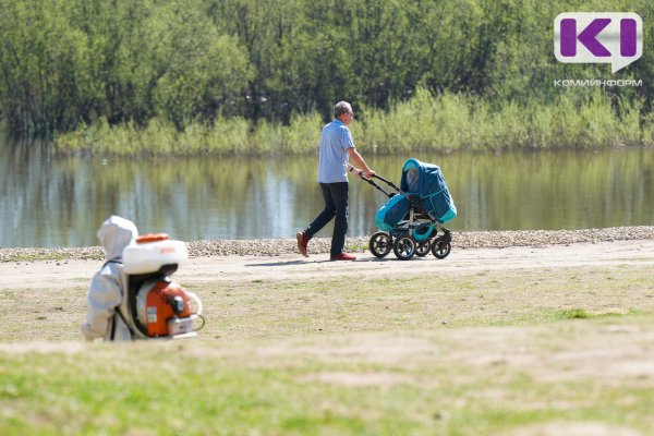 В Коми более тысячи отцов получают пособие по уходу за ребенком до полутора лет