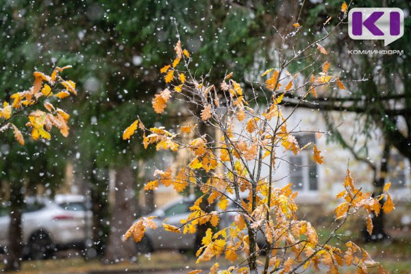 Погода в Коми 19 октября: мокрый снег, 0...+5°С
