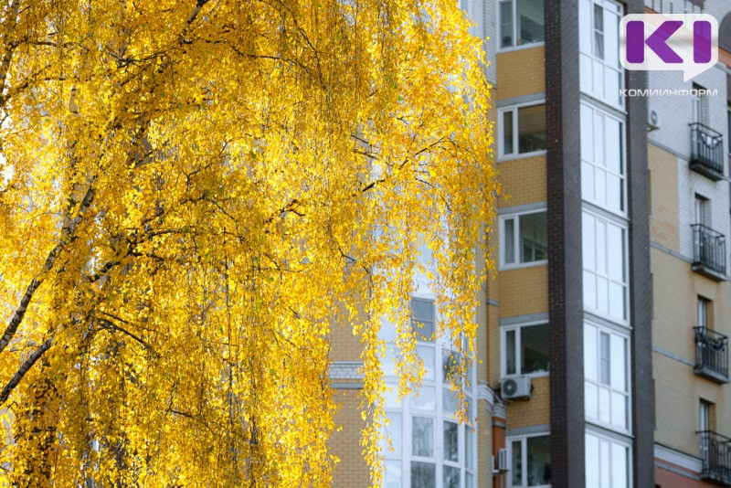 Погода в Коми 20 октября: южный ветер, +4°С