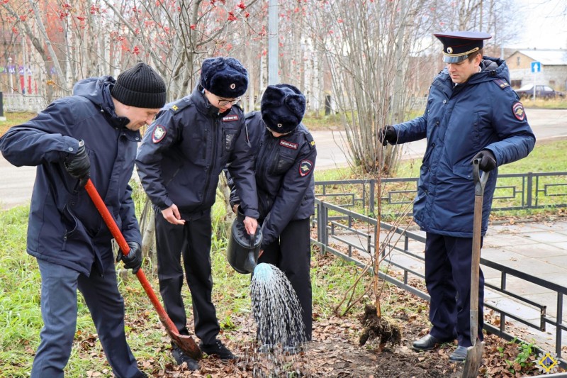В Инте кадеты и сотрудники полиции высадили деревья в сквере имени Сергея Кулешова

