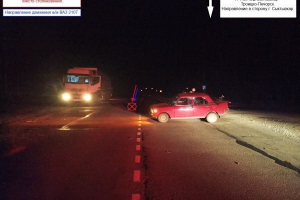 В Усть-Куломском районе две женщины пострадали от скородела на дороге 