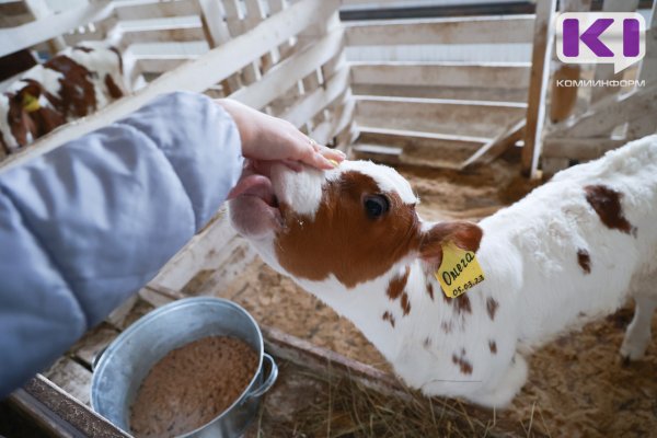 Авито Работа и Авито Услуги: ветеринары и зоотехники стали самыми высокооплачиваемыми специалистами по уходу за животными

