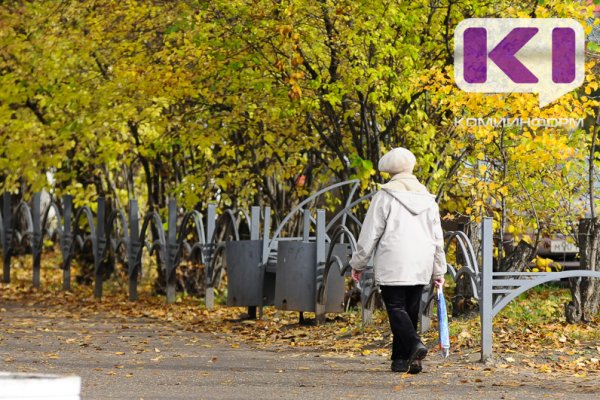 В Соцфонде рассказали, на сколько вырастет пенсия в 2026 году

