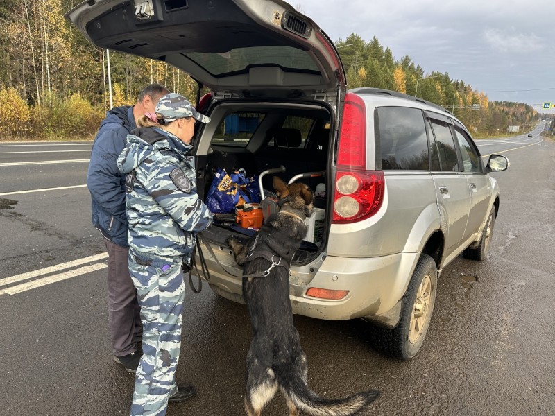 В ФСБ рассказали, сколько незаконного оружия и боеприпасов выявили на дорогах Коми за неделю