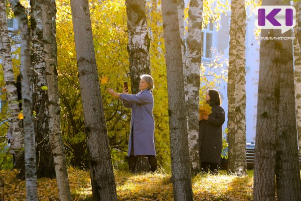Приход зимы в Коми задерживается