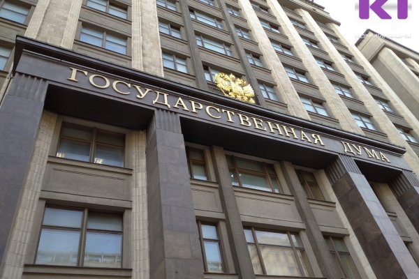 Комитет Госдумы одобрил законопроект об усилении наказания за диверсии