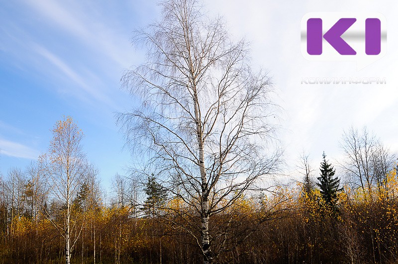 Погода в Коми 26 октября: днем +1...+6°С, на севере сильный ветер