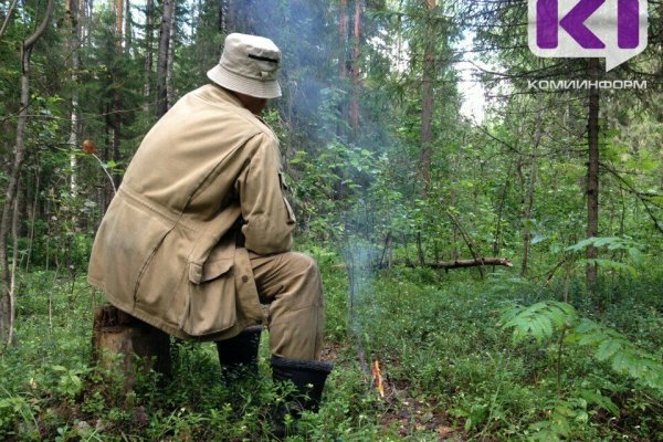 В Прилузском районе спасатели вывели из леса заблудившегося сборщика клюквы