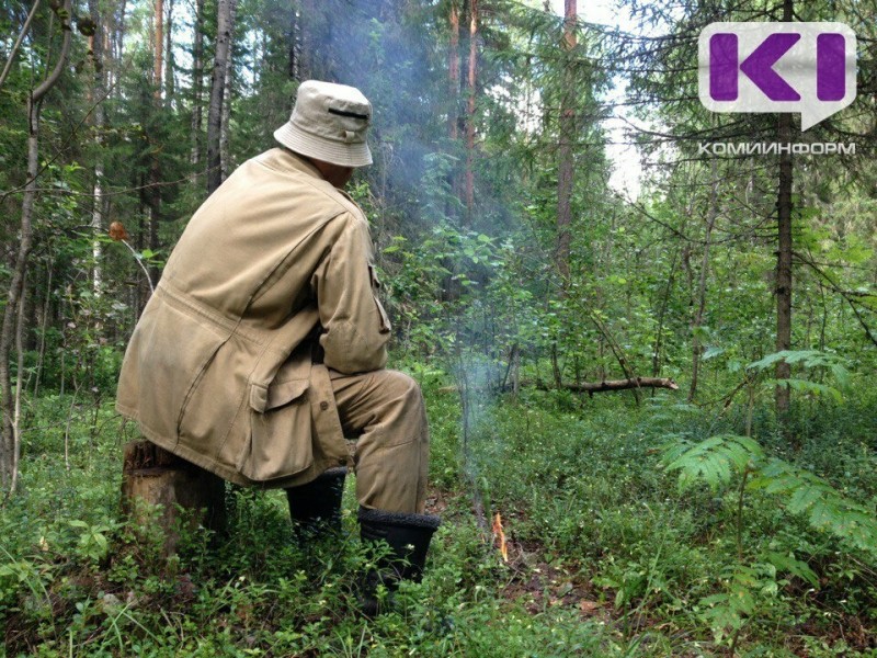 В Прилузском районе спасатели вывели из леса заблудившегося сборщика клюквы