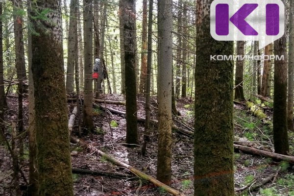 Квадрокоптер с тепловизором помог найти заблудившихся подростков в Коми