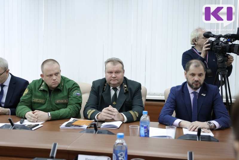 1,1 млрд рублей в этом году получил бюджет Коми благодаря рациональному использованию лесов