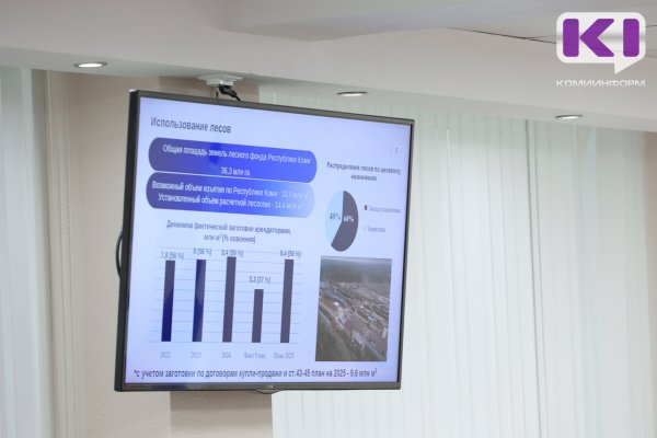 Бюджет Коми в этом году пополнился на 135 млн рублей за счет продажи древесины с аукционов краткосрочного пользования