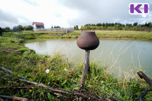 В Княжпогостском районе руководитель сельхозкооператива обвиняется в невыплате зарплаты работникам

